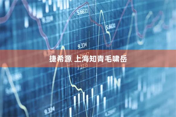 捷希源 上海知青毛啸岳